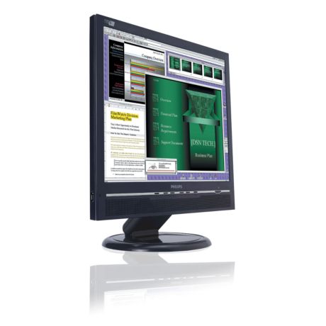 170B6CB/75  LCD monitor