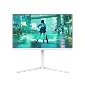 Fast IPS Gaming monitor