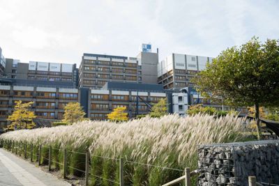 Universiteitscampus in het midden van de herfst