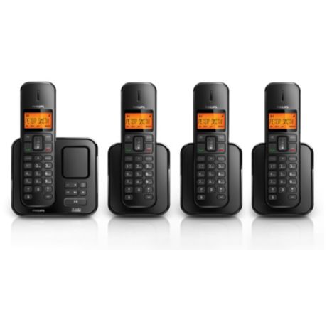 SE1754B/05  Cordless telephone