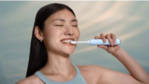 Guided brushing sessions