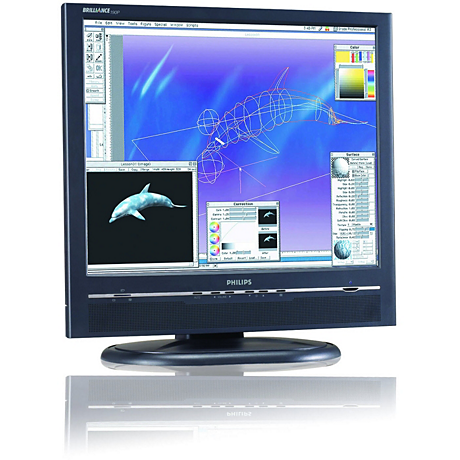 190P5EB/00 Brilliance LCD monitor