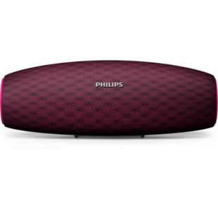 BT7900P wireless portable speaker