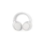 Superb sound, replaceable battery