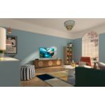 No frills. Still thrills.