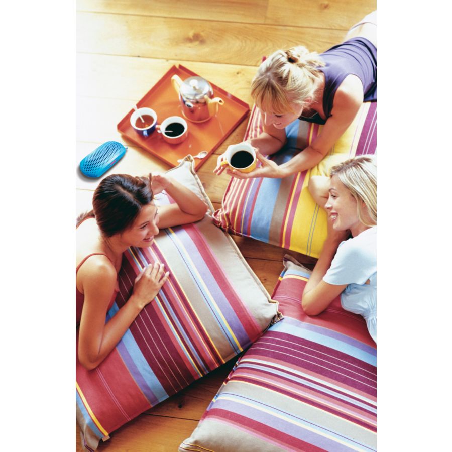 Your all-in-one portable speaker