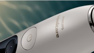 Elevate your brushing experience