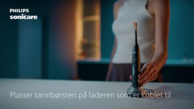Lade med stativet