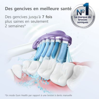 Notre tête de brosse pour des gencives en meilleure santé