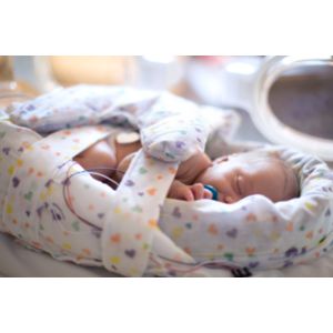 Enlarged view of picture