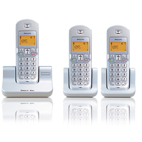DECT2213S/21