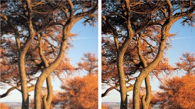 High definition JPEG playback for images in true resolution
