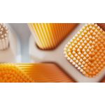 One brush head for complete care