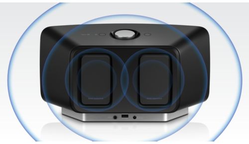 Dubbele passieve radiatoren bieden rijke, sterke bastonen