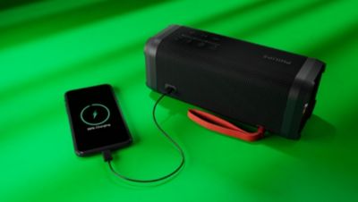 Replaceable, rechargeable battery pack. Power bank