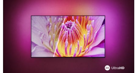 Une image pleine de vie, lumineuse et ultra-nette.