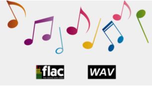 Ondersteuning voor indelingen voor audio zonder kwaliteitsverlies voor helder en authentiek geluid