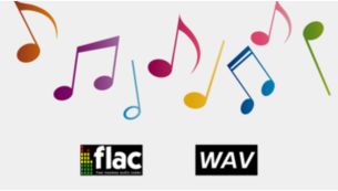 Prise en charge des formats Lossless Audio pour un son clair et authentique