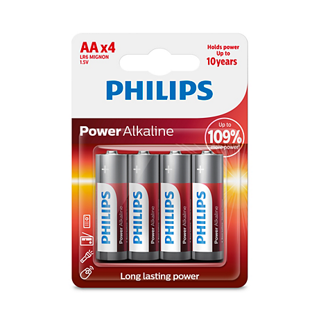 LR6P4B/10 Power Alkaline Batterij