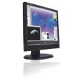 superb, big screen display for professional tasks
