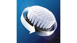 Oil-control cleansing brush head