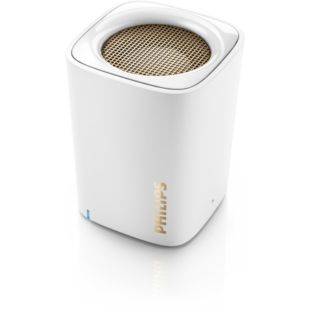 BT100W wireless portable speaker