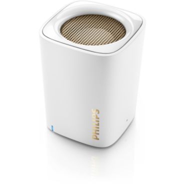 BT100W wireless portable speaker