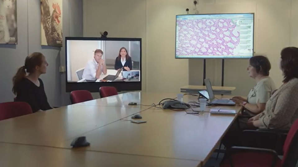 Pathologists collaborating remotely to provide fast turnaround time of results on an urgent case