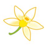 Promotes natural suckling and bonding