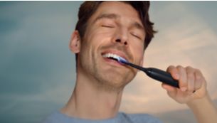 Guided brushing sessions