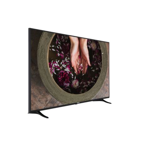 65HFL2879T/12  Professional TV