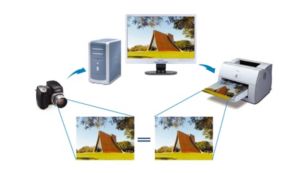 sRGB para correspondência de cores entre imagem do monitor e impressão