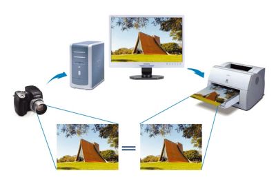 O sRGB garante a correspondência de cor entre visualização e cópias impressas.