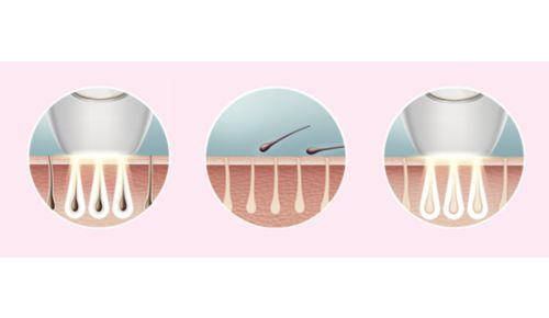 Goditi una pelle liscia ogni giorno