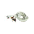 12-Lead Patient Cable (AAMI), Long