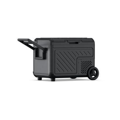 Philips Car thermal box