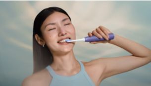 Séances de brossage guidées