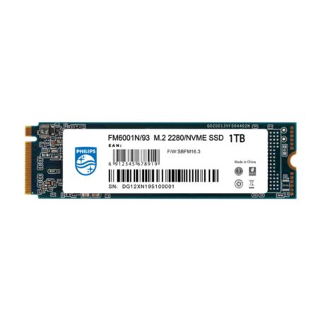 FM60SS100N/93  SSD