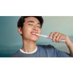 Essential Care for healthy teeth and gums