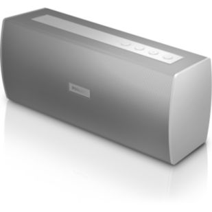 BT3000W Wireless stereo speaker