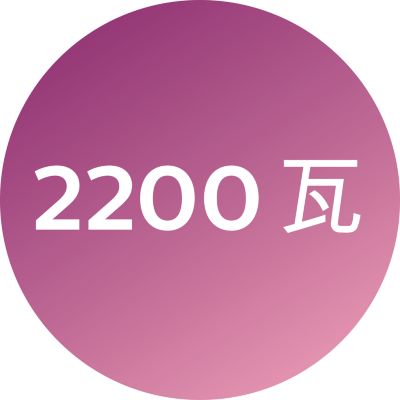 2200 瓦快速、高性能吹干动力
