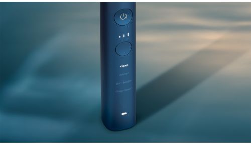 Vælg din ideelle børstning