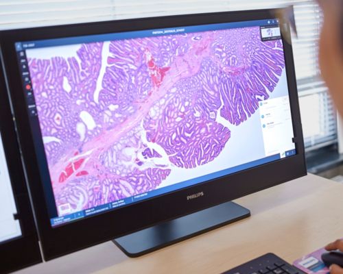 Digital pathology collaboration