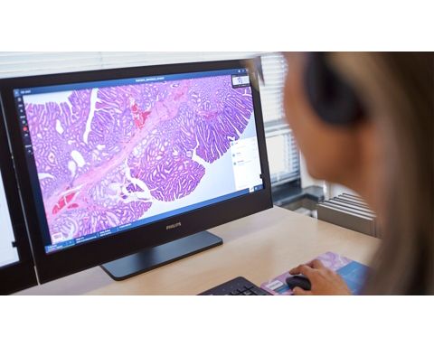 Digital pathology screen