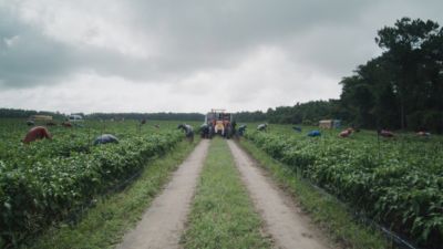Mobile health team providing ultrasound care to farmworkers in rural Georgia