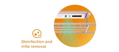 Làm sạch quần áo tốt hơn trong một bước