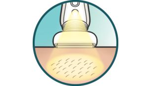 La lampe intégrée révèle le poil le plus fin