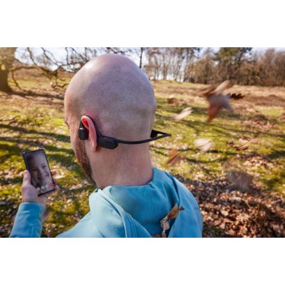 Pokojne sa hýbte, ony sa nebudú