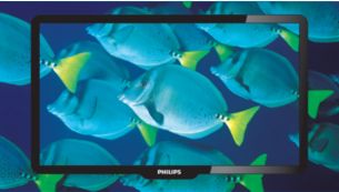 Pantalla LED Phillips 19 Pulgadas HD 19PFL2409/F8