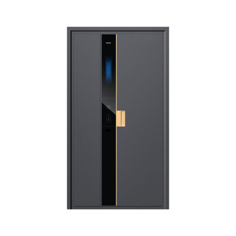 SDO601DUACDA/93 6000 series 智能门